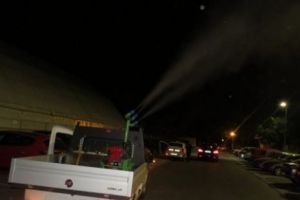 ALERTĂ! Este INVAZIE în Bucureşti. GÂNGANIA care TERORIZEAZĂ populaţia. NIMIC nu ne scapă de ea