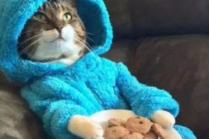 GAFĂ de PROPORȚII la AMBASADĂ. Au trimis o INVITAȚIE la o…PETRECERE în PIJAMA