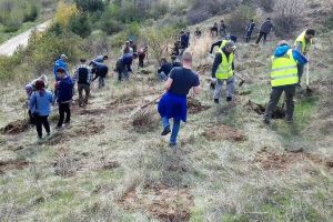 100 de arbori pentru Centenarul Marii Uniri