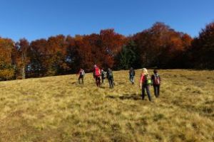 Săptămâna Ariilor Protejate, celebrată în judeţul Covasna