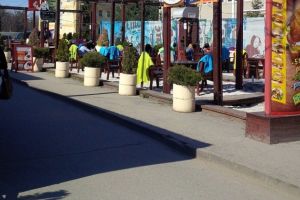 Bataie intre tineri in Complexul Studentesc! S-au lovit cu crengi peste fata, din cauza unei fete