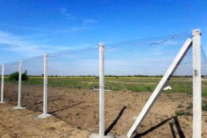 Bărbat de 68 de ani din comuna Livezile cercetat pentru FURT. A sustras stâlpi de beton dintr-un gard