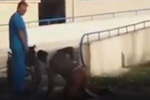 Externare în genunchi la un spital din România. Pacientul se târăşte, iar infirmierul se uită la el - VIDEO