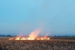Nu vă jucaţi cu focul! Opt incendii de vegetaţie uscată, într-o singură zi (FOTO)
