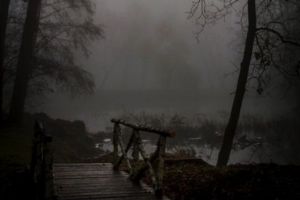 Profesoară, ACUZATĂ că a făcut AMOR cu un elev de clasa a VIII-a, într-un parc! DETALII ȘOCANTE au ieşit la iveală