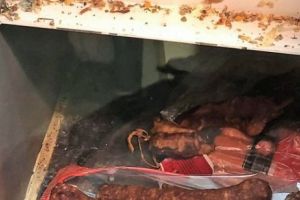 IMAGINI ȘOCANTE la controlul OPC.  Protecţia Consumatorilor a decis, în PREMIERĂ la Constanţa, ÎNCHIDEREA unui HIPERMARKET