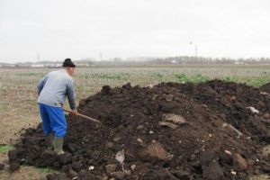Gunoiul de grajd – o comoară a fermierilor