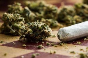 Canada a legalizat marijuana în scop recreativ