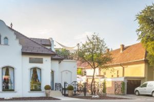 Curs endotoxemia şi disbioza la Nivo