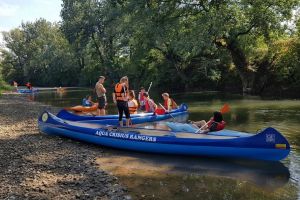 Aqua Crisius a inventariat 11 arbori seculari din Lunca Crişului Negru (FOTO)