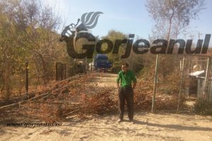 Un cetăţean din Gîlceşti a blocat drumul de acces spre sonda 343 Totea! Incidentul, deblocat de primar