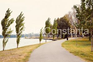 Primaria Municipiului Constanta demareza plantarile de toamna 
