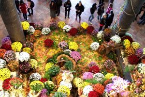 Paradis floral la Muzeul de Știinţele Naturii