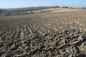 FENOMENUL EXTREM desfăşurat în SECRET RUINEAZĂ România. Sunt PIERDERI URIAȘE! Descoperirea aduce un CUTREMUR de PROPORȚII