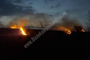 Incendiu pe barajul Perşinari