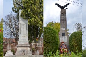 Pro memoria. Monumentele„cu vultur” din Bozeş ţi Gelmar