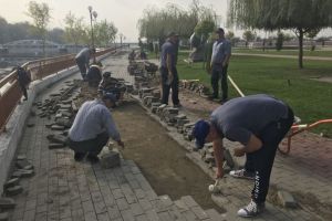 Alee distrusă pe Insuliţă, război între primar şi viceprimar