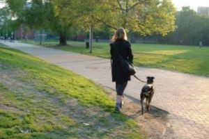 „NU MAI VREM NOROC PE STRADĂ!”. La ce se referă campania demarată recent de Primăria Sectorului 4 