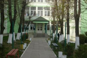 Cenaclu literar la Liceul Teoretic ,,Nicolae Balcescu din Medgidia. Ce scriitori participa 