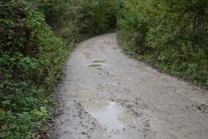 Ioan Lazăr, ALDE Alba: Drumul de la Galda de Jos până Întregalde, un tronson de 6 km, nu poate fi asfaltat din cauza ..broaştelor