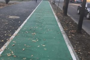 Verde pentru Biciclete vrea informatii clare legate de vopsirea pistei de biciclete din zona Botanic