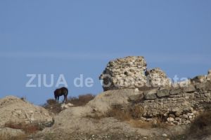 Consiliul Judetean Constanta cumpara servicii de consultanta pentru proiectul de restaurare a Cetatii Carsium