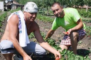 O ţară foarte importantă SE PRĂBUȘEȘTE! Sunt milioane de români acolo!