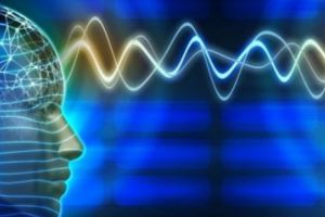 Creiere ce comunica la distanta: BrainNet