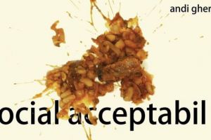 „Social Acceptabil“ de Andi Gherghe, invitat la Teatrul Ariel