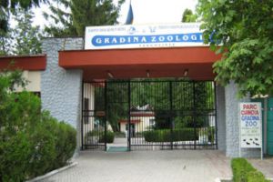 Grădina Zoologică Târgovişte angajează îngrijtori animale. Vezi alte posturi în sistemul bugetar