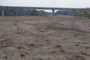 NEWS ALERT/ Căutări DISPERATE: Femeie DISPĂRUTĂ în zona râului Mureş