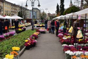 Expoziţie de flori cu vânzare, în Piaţa Trandafirilor