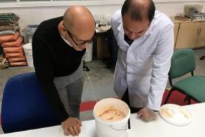 Lancaster: Morcovii  ar putea fi folositi la fabricarea betonului
