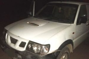 Prinşi în flagrant când furau lemne