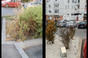 Constanta Restart - antrenament“ pentru marea mobilizare. La Scoala nr. 24 Ion Jalea“: Plantand copaci, ajut planeta sa respire si sa ne dea mai mult oxigen!“, ganduri de copil la 7 ani (galerie foto) 