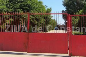 Primaria Constanta cumpara servicii veterinare destinate adapostului pentru caini al municipalitatii