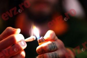 Autorităţile iau în calcul legalizarea marijuanei!