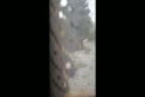 Cluj, Parcul Central: Elevi după ore spărgeau o gheretă pentru a fura produse - VIDEO