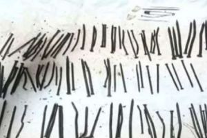 Încă o lovitură dată de unguri în Transilvania. Fabricile se mută, pe bandă rulantă, peste graniţă