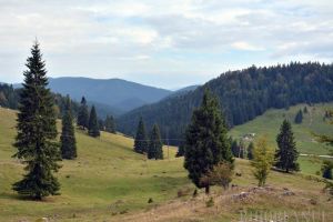 Doi turişti maghiari s-au rătăcit în Glăvoi. Jandarmii i-au găsit după aproape trei ore