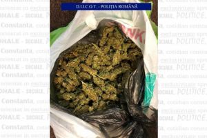  Inculpati, retinuti pentru trafic international de droguri (galerie foto)  
