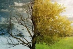 VREMEA. Patru ANOTIMPURI într-o săptămână. De la NINSORI la temperaturi de peste 20 de grade