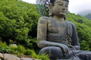 DIETA de VIS! Metoda STRĂVECHE inspirată de Buddha care nu IMPUNE ABSOLUT NIMIC
