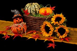 Arădenii, cu mic cu mare, sunt invitaţi la un altfel de HALLOWEEN PARTY! Unde se desfăşoară şi ce surprize îi aşteaptă pe participanţi