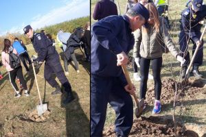 Jandarmii  au participat la acţiunea de plantare  “100 pentru 100”-Centenarul Verde