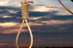 ADOLESCENTĂ de 17 ani găsită SPÂNZURATĂ de un copac. Poliţiştii au deschis o ANCHETĂ