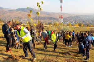 La Moineşti au fost plantaţi o sută de arbori pentru Centenarul Marii Uniri