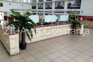 Palmieri din plastic, legati cu lant de podea, in Gara Constanta (galerie foto + video) 
