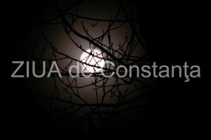 Astrocafe.ro: Luna plina in Taur, 24 octombrie 2018. Suntem ceea ce pretuim 