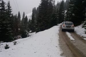 S-a aşternut prima zăpadă la munte. Imagini de la o mie de metri altitudine
